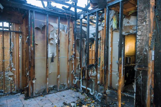 Professional Fire Damage Removal technician working in Homestead, PA